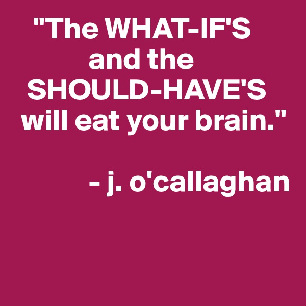    "The WHAT-IF'S 
            and the
  SHOULD-HAVE'S
 will eat your brain."

            - j. o'callaghan

