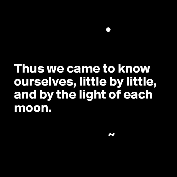 
                                     •


  Thus we came to know        
  ourselves, little by little,    
  and by the light of each 
  moon.

                                      ~

