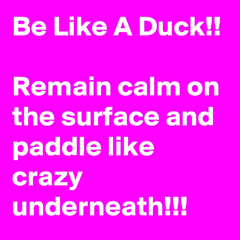Be Like A Duck!!

Remain calm on the surface and paddle like crazy underneath!!!