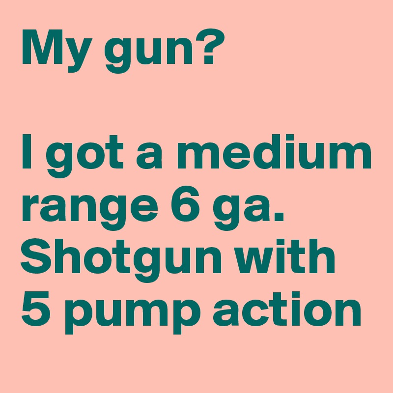 My gun?

I got a medium range 6 ga. Shotgun with 5 pump action