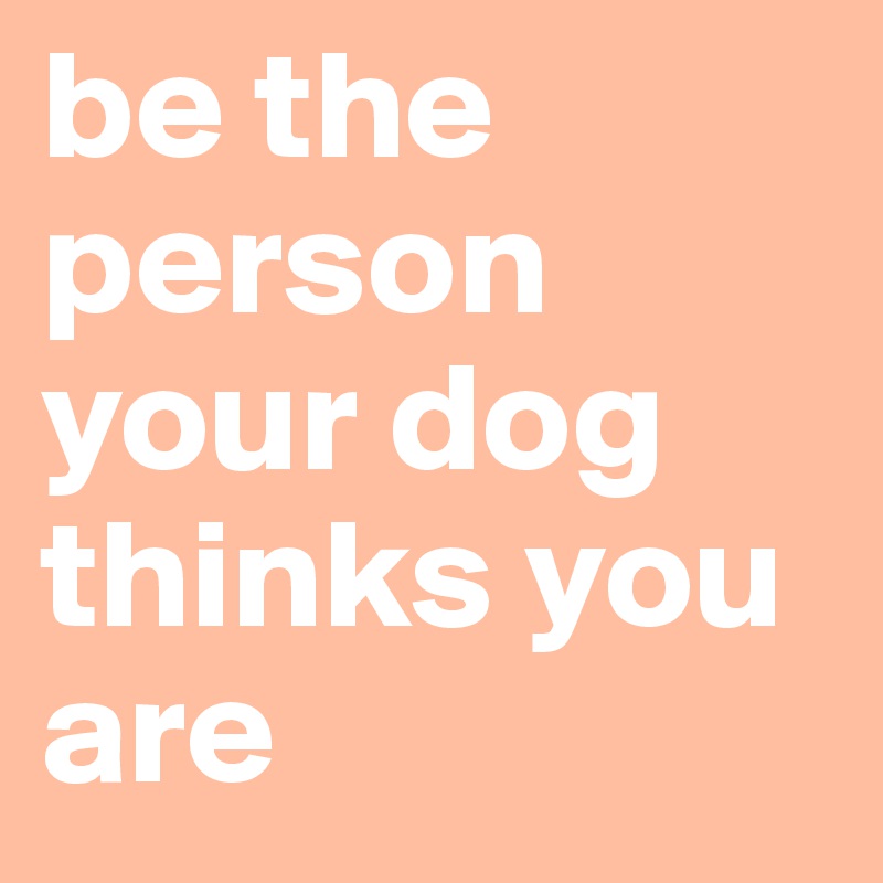 be the person your dog thinks you are