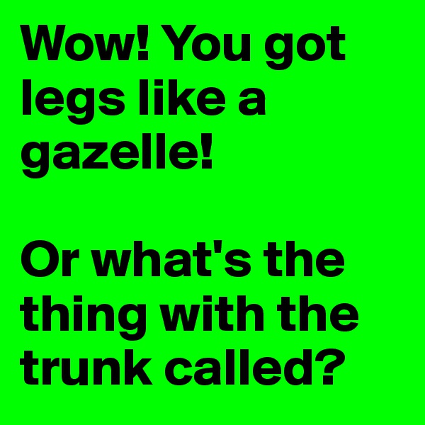 Wow! You got legs like a gazelle!

Or what's the thing with the trunk called?