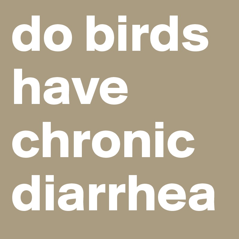 do birds have chronic diarrhea