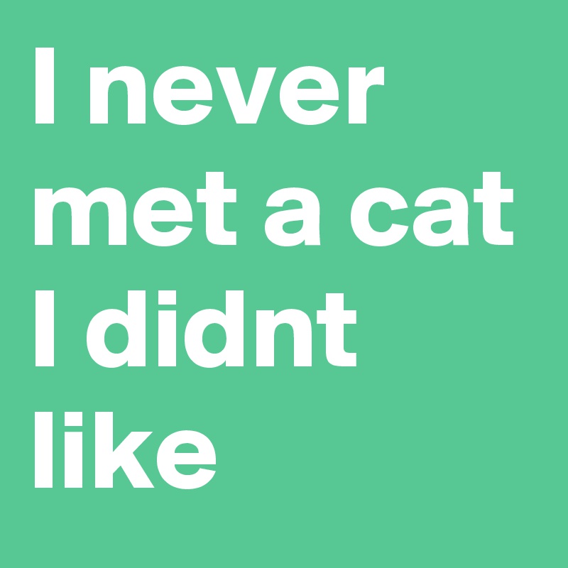 I never met a cat I didnt like 