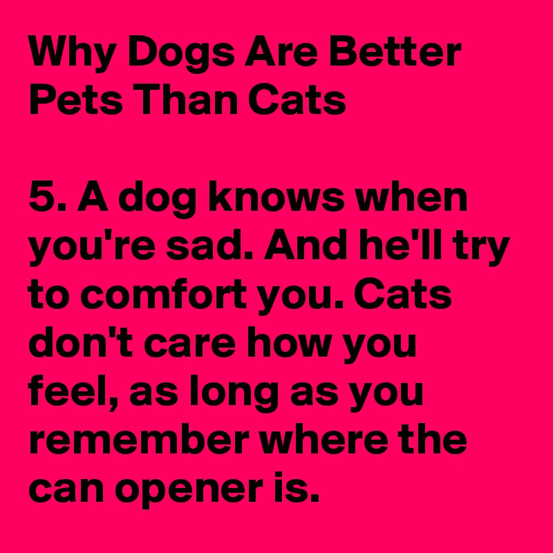 Why Dogs Are Better Pets Than Cats

5. A dog knows when you're sad. And he'll try to comfort you. Cats
don't care how you feel, as long as you remember where the can opener is.