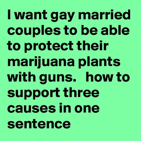 I want gay married couples to be able to protect their marijuana plants with guns.   how to support three causes in one sentence