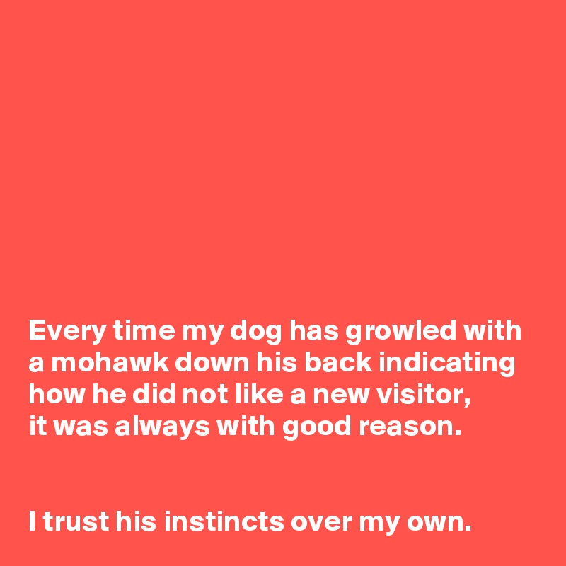 








Every time my dog has growled with
a mohawk down his back indicating
how he did not like a new visitor,
it was always with good reason.


I trust his instincts over my own.