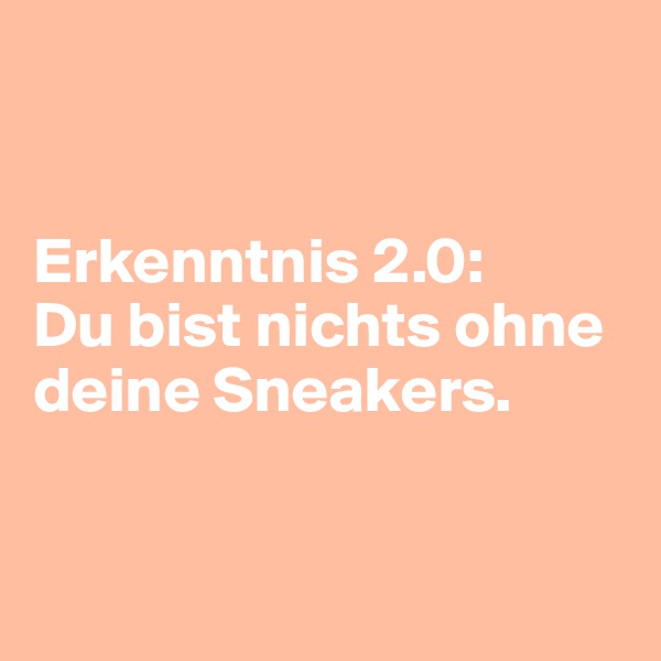 


Erkenntnis 2.0: 
Du bist nichts ohne deine Sneakers. 


