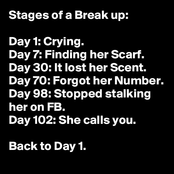 Stages of a Break up:

Day 1: Crying.
Day 7: Finding her Scarf.
Day 30: It lost her Scent.
Day 70: Forgot her Number.
Day 98: Stopped stalking her on FB.
Day 102: She calls you.

Back to Day 1.