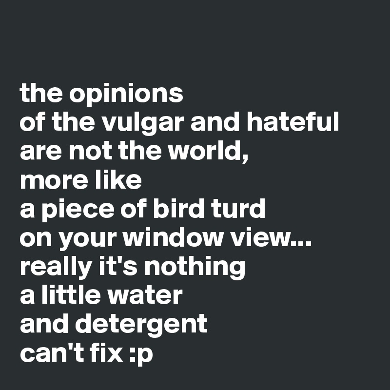 

the opinions 
of the vulgar and hateful
are not the world, 
more like 
a piece of bird turd 
on your window view...
really it's nothing 
a little water 
and detergent 
can't fix :p