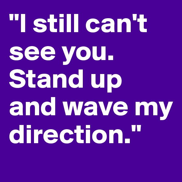 "I still can't see you. Stand up and wave my direction."