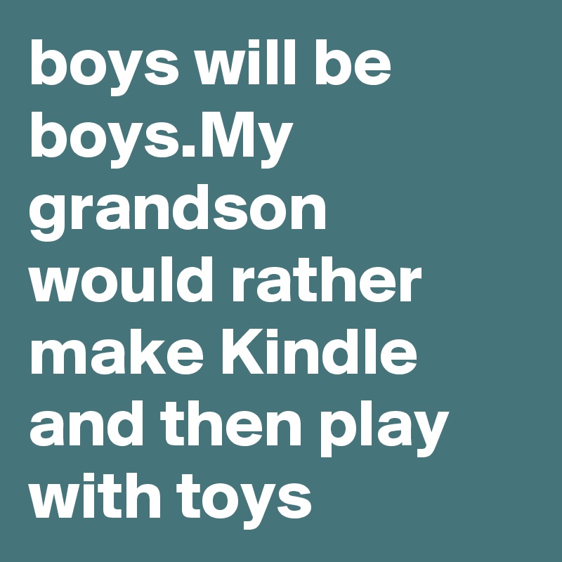 boys will be boys.My grandson would rather make Kindle and then play with toys