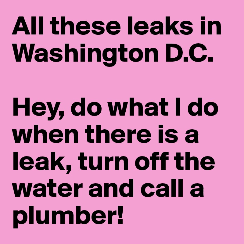 All these leaks in Washington D.C.

Hey, do what I do when there is a leak, turn off the water and call a plumber!
