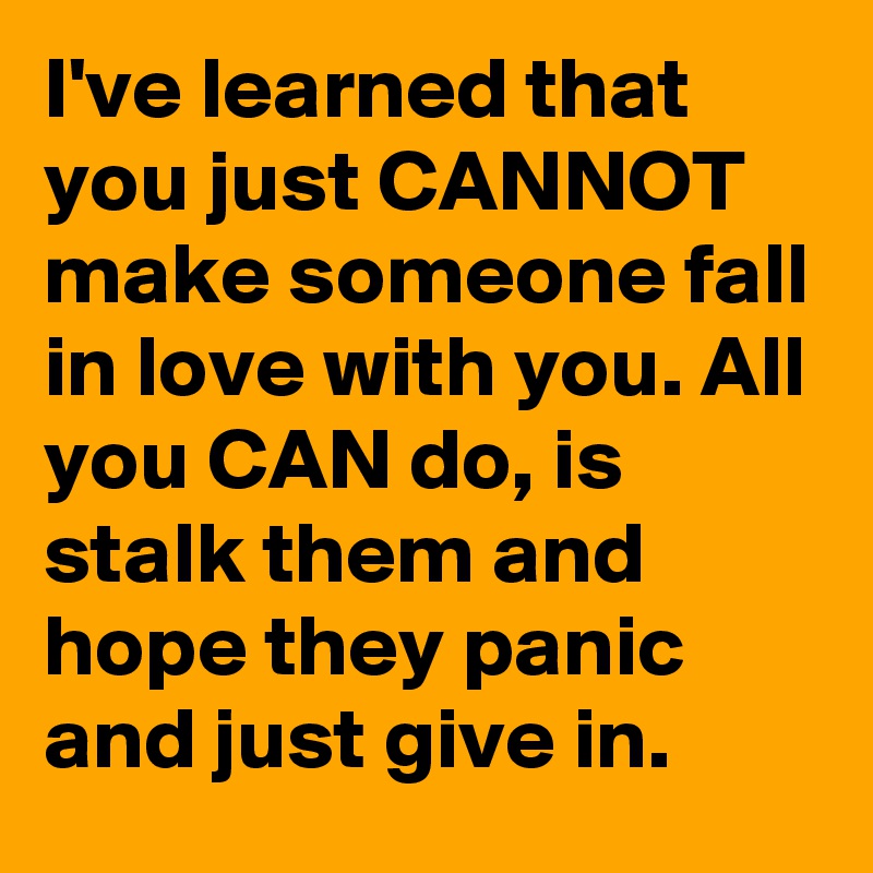 I've learned that you just CANNOT make someone fall in love with you. All you CAN do, is stalk them and hope they panic and just give in.
