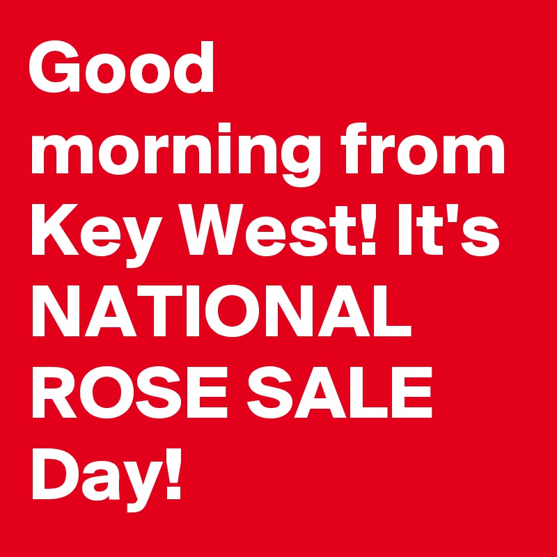 Good morning from Key West! It's NATIONAL ROSE SALE Day!