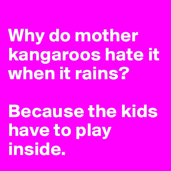 
Why do mother kangaroos hate it when it rains?

Because the kids have to play inside. 