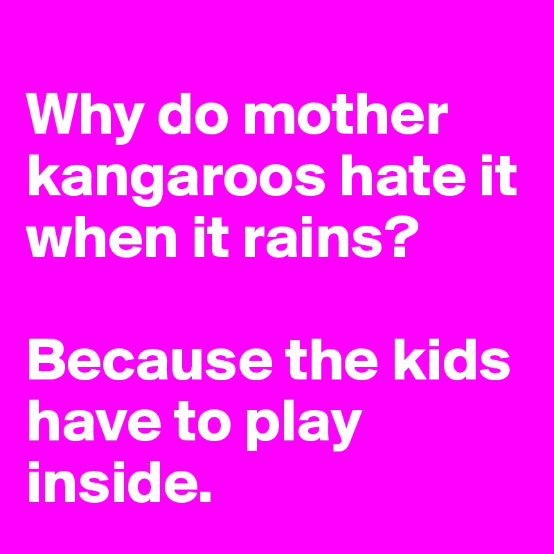 
Why do mother kangaroos hate it when it rains?

Because the kids have to play inside. 
