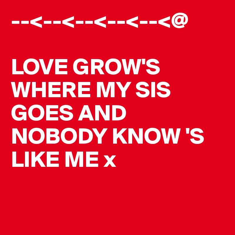 --<--<--<--<--<@

LOVE GROW'S WHERE MY SIS GOES AND NOBODY KNOW 'S LIKE ME x

