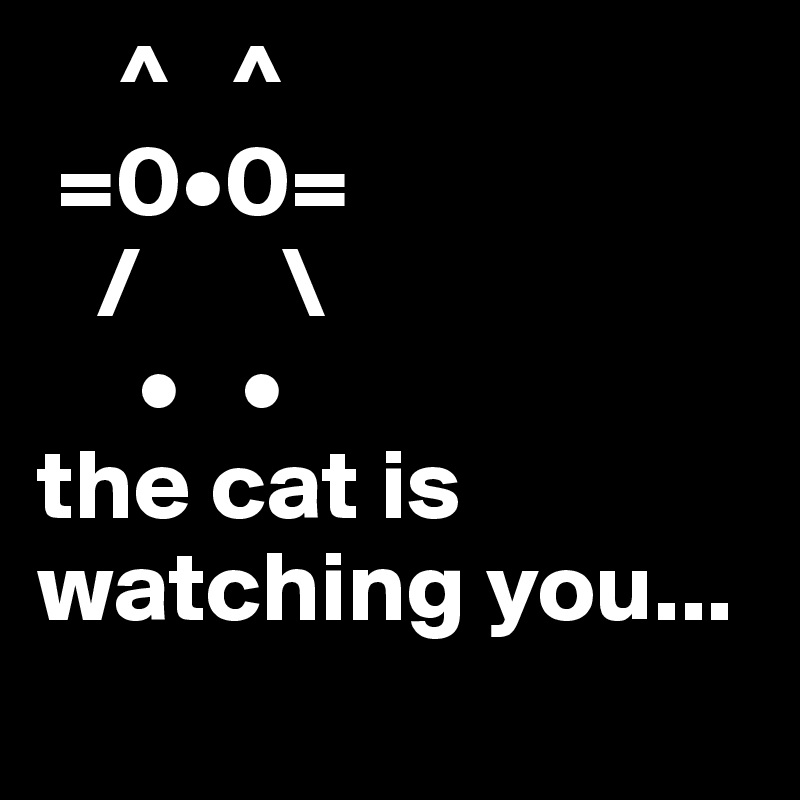     ^   ^
 =0•0=
   /       \
     •   •   
the cat is watching you...
    