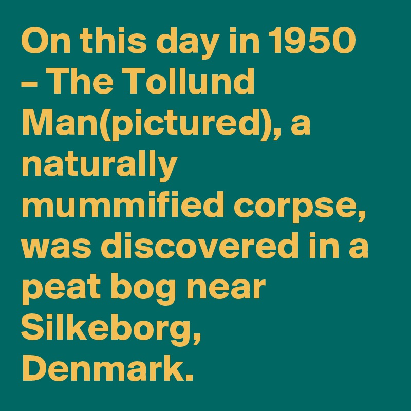 On this day in 1950 – The Tollund Man(pictured), a naturally mummified corpse, was discovered in a peat bog near Silkeborg, Denmark.