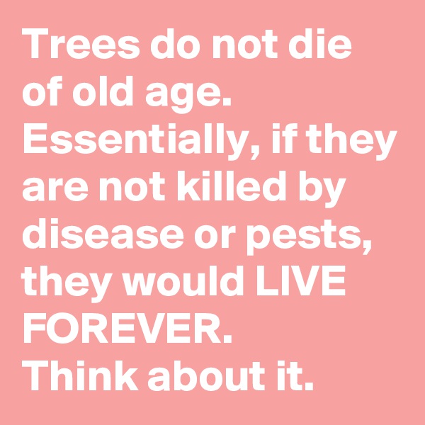 Trees do not die of old age. Essentially, if they are not killed by disease or pests, they would LIVE FOREVER. 
Think about it.