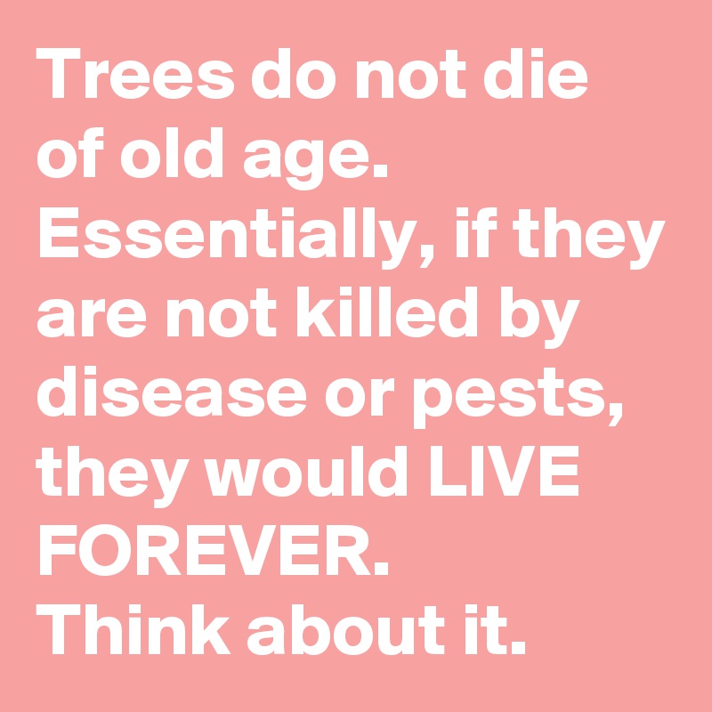 Trees do not die of old age. Essentially, if they are not killed by disease or pests, they would LIVE FOREVER. 
Think about it.