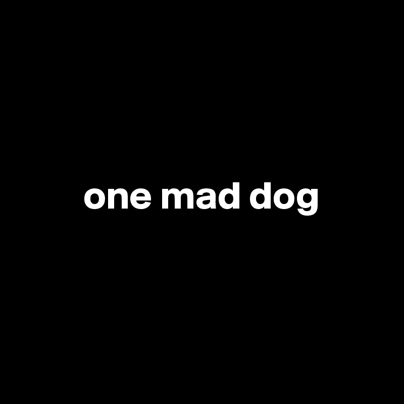 



        one mad dog



