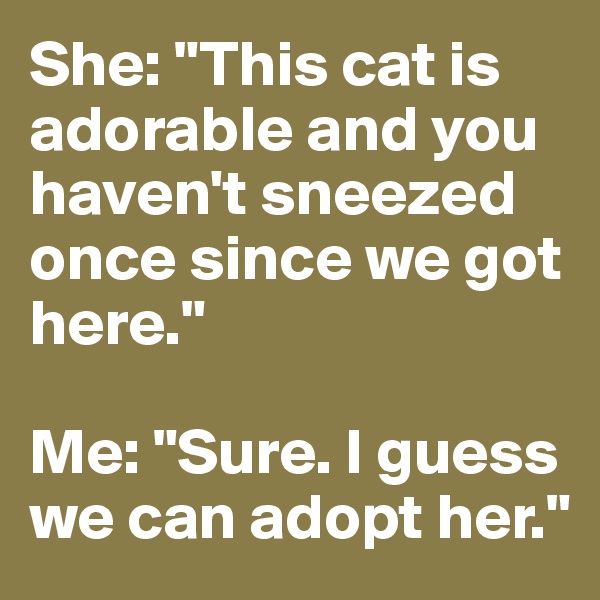She: "This cat is adorable and you haven't sneezed once since we got here."

Me: "Sure. I guess we can adopt her."