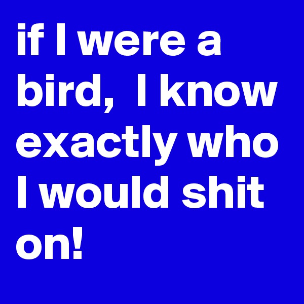 if I were a bird,  I know exactly who I would shit on! 