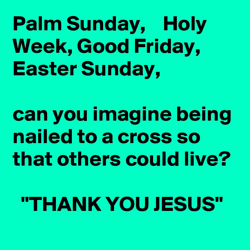 Palm Sunday,    Holy Week, Good Friday, Easter Sunday,

can you imagine being nailed to a cross so that others could live?

  "THANK YOU JESUS"