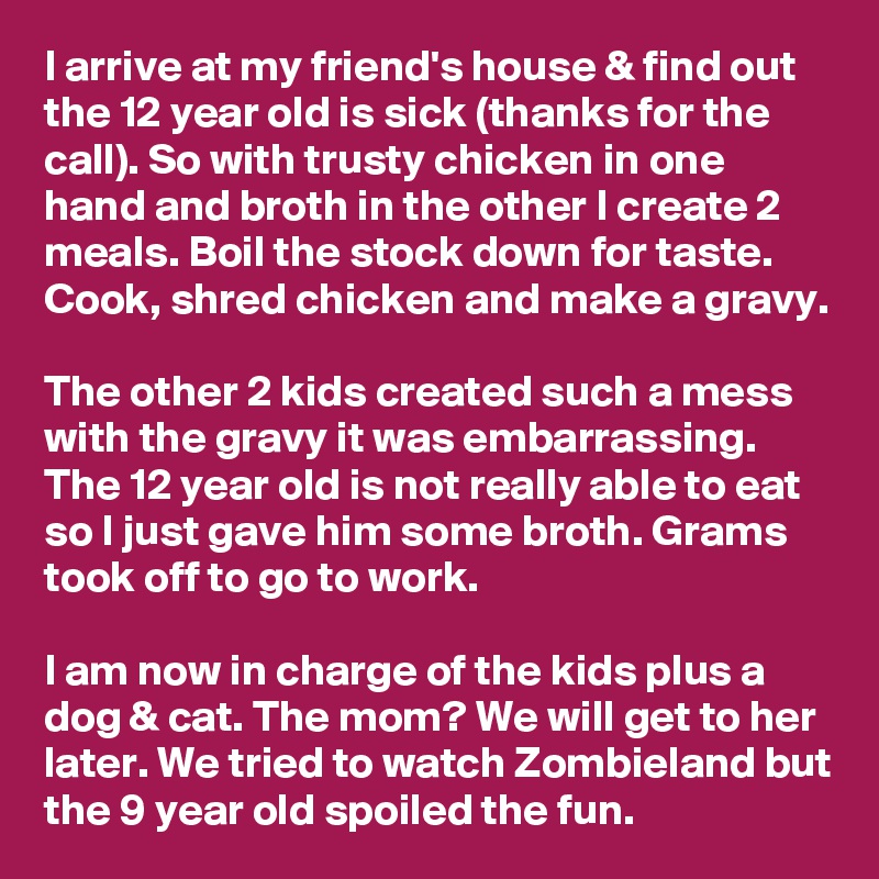 I arrive at my friend's house & find out the 12 year old is sick (thanks for the call). So with trusty chicken in one hand and broth in the other I create 2 meals. Boil the stock down for taste. Cook, shred chicken and make a gravy.

The other 2 kids created such a mess with the gravy it was embarrassing. The 12 year old is not really able to eat so I just gave him some broth. Grams took off to go to work.

I am now in charge of the kids plus a dog & cat. The mom? We will get to her later. We tried to watch Zombieland but the 9 year old spoiled the fun.