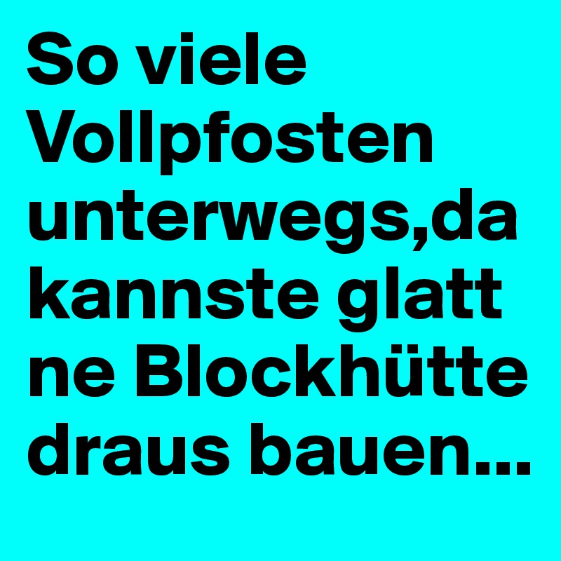So viele Vollpfosten unterwegs,da kannste glatt ne Blockhütte draus