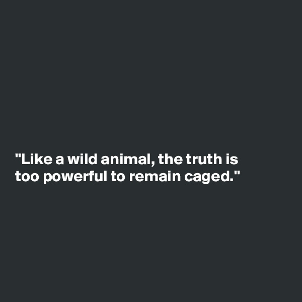 







"Like a wild animal, the truth is
too powerful to remain caged."





