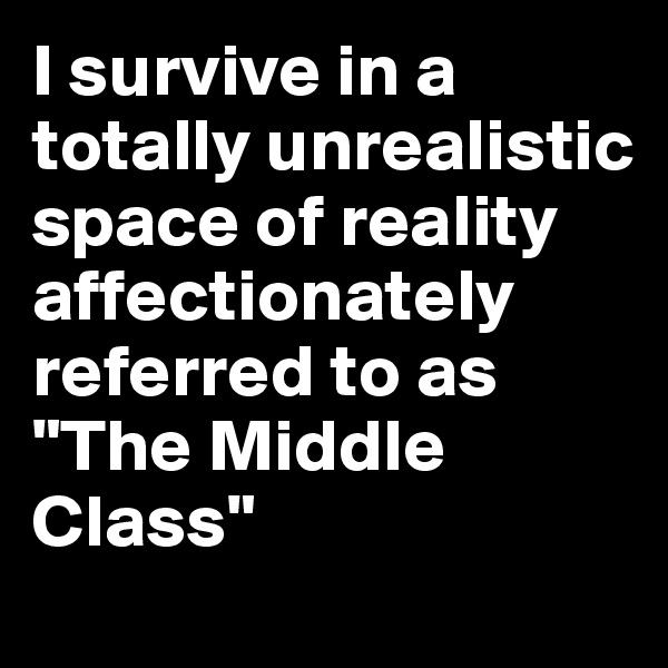 I survive in a totally unrealistic space of reality affectionately referred to as "The Middle Class"