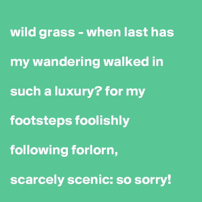 
wild grass - when last has

my wandering walked in

such a luxury? for my

footsteps foolishly

following forlorn,

scarcely scenic: so sorry!      