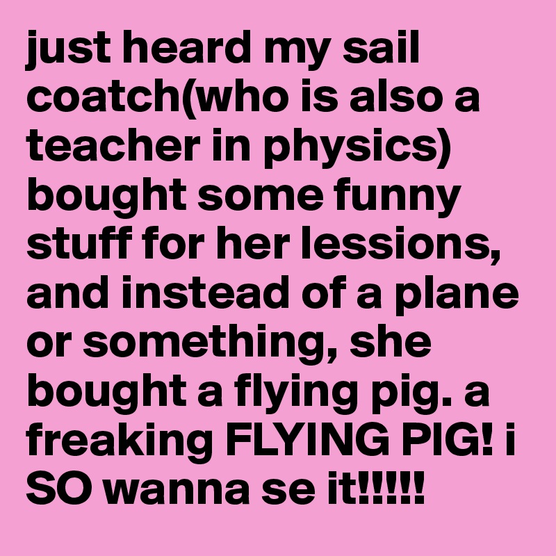 just heard my sail coatch(who is also a teacher in physics) bought some funny stuff for her lessions, and instead of a plane or something, she bought a flying pig. a freaking FLYING PIG! i SO wanna se it!!!!!