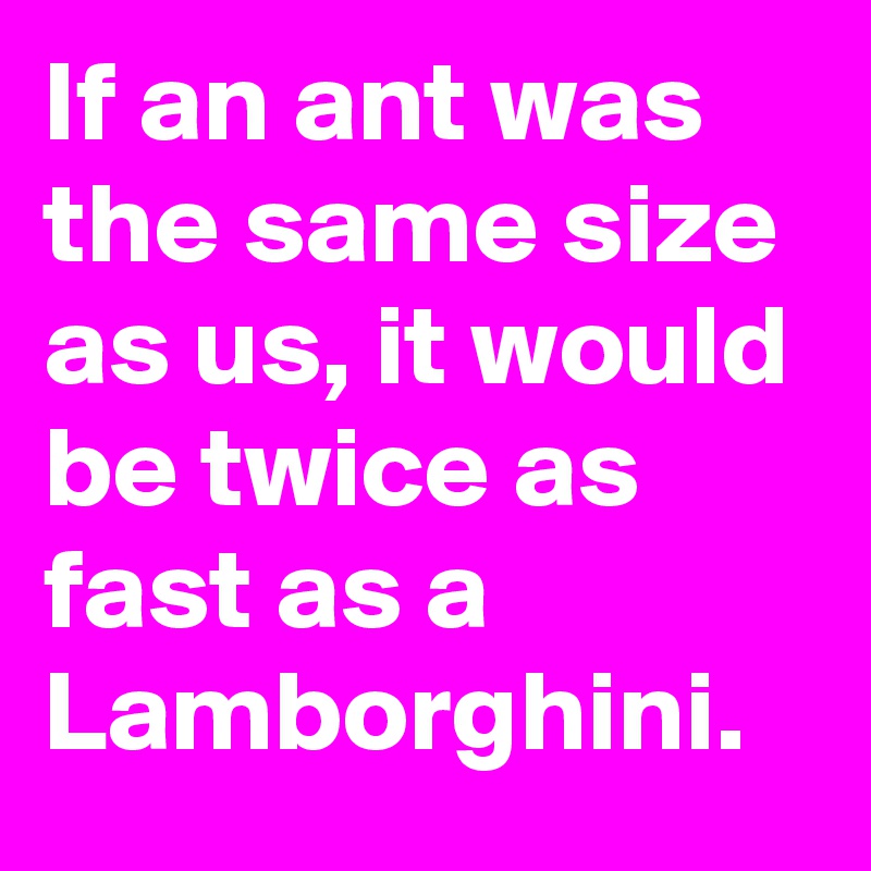 If an ant was the same size as us, it would be twice as fast as a Lamborghini.