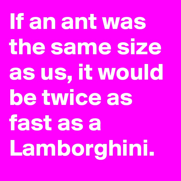 If an ant was the same size as us, it would be twice as fast as a Lamborghini.