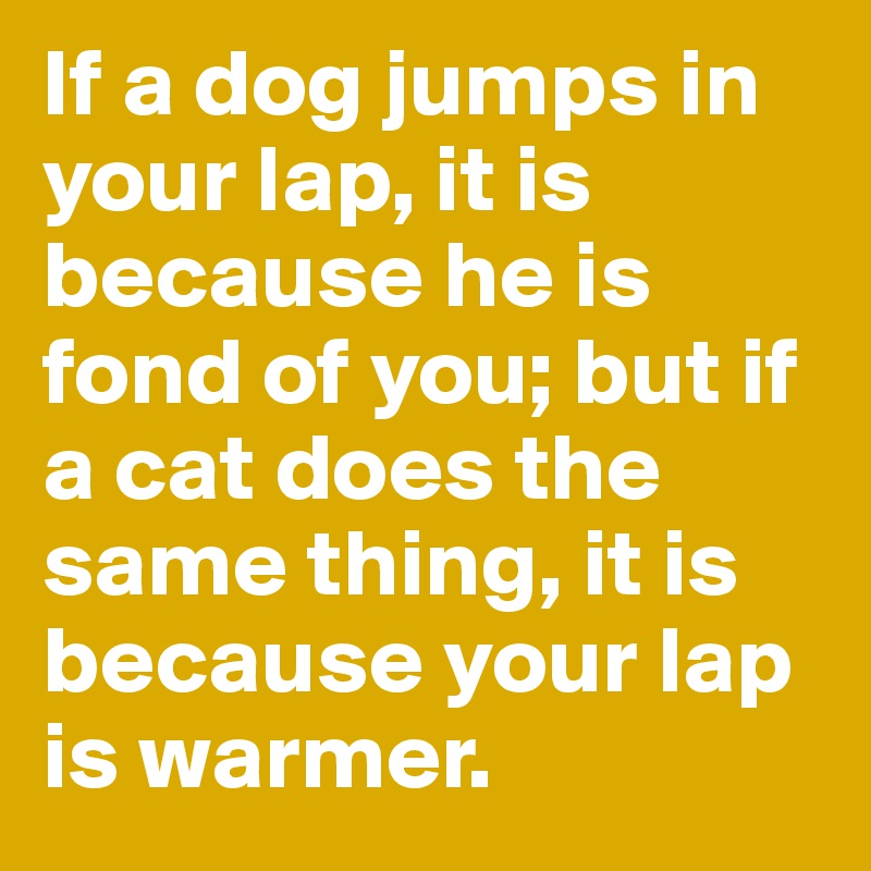 If a dog jumps in your lap, it is because he is fond of you; but if a cat does the same thing, it is because your lap is warmer.