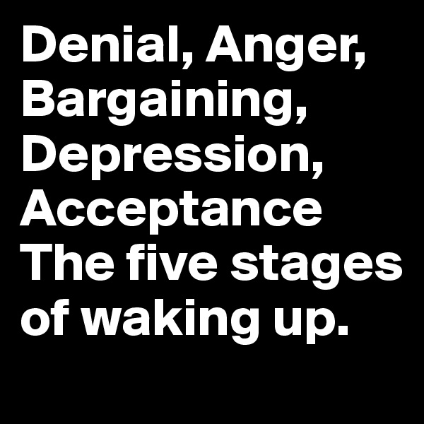Denial, Anger, Bargaining, Depression, Acceptance The five stages of waking up.