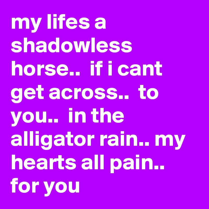 my lifes a shadowless horse..  if i cant get across..  to you..  in the alligator rain.. my hearts all pain..  for you