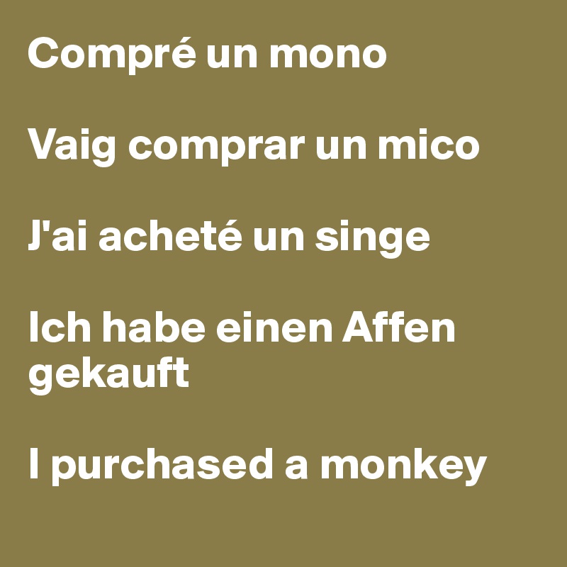 Compré un mono

Vaig comprar un mico

J'ai acheté un singe

Ich habe einen Affen gekauft

I purchased a monkey
