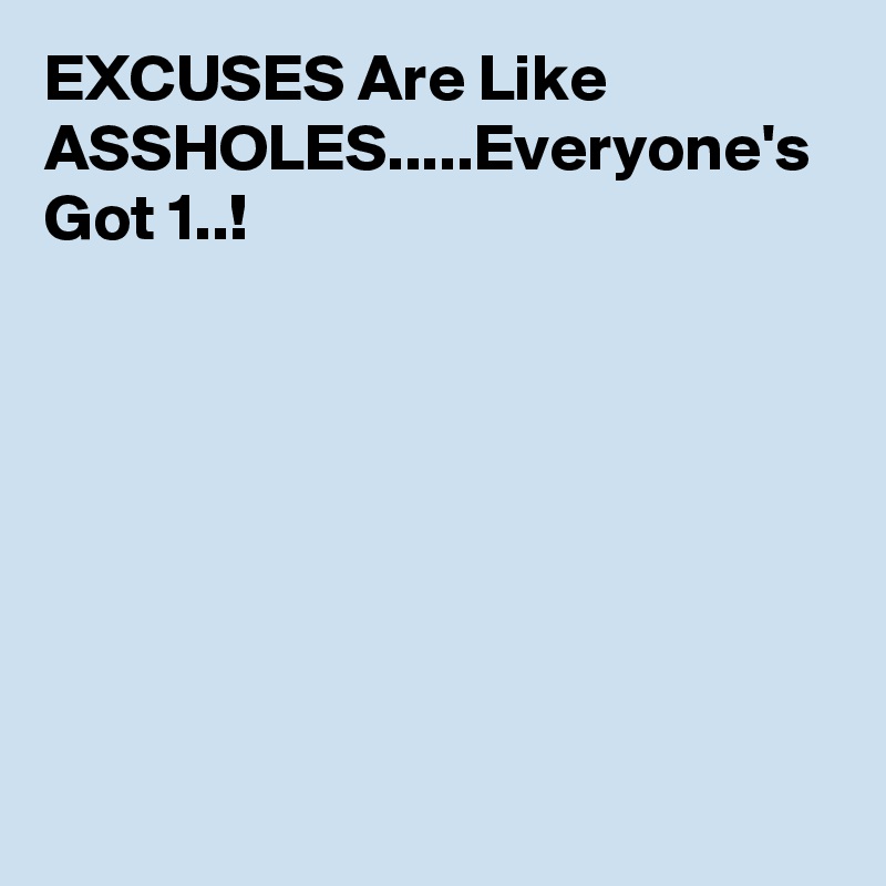 EXCUSES Are Like ASSHOLES.....Everyone's Got 1..!