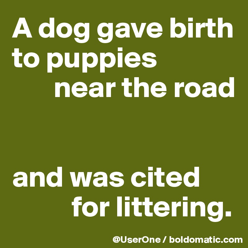 A dog gave birth to puppies 
       near the road 


and was cited
          for littering.