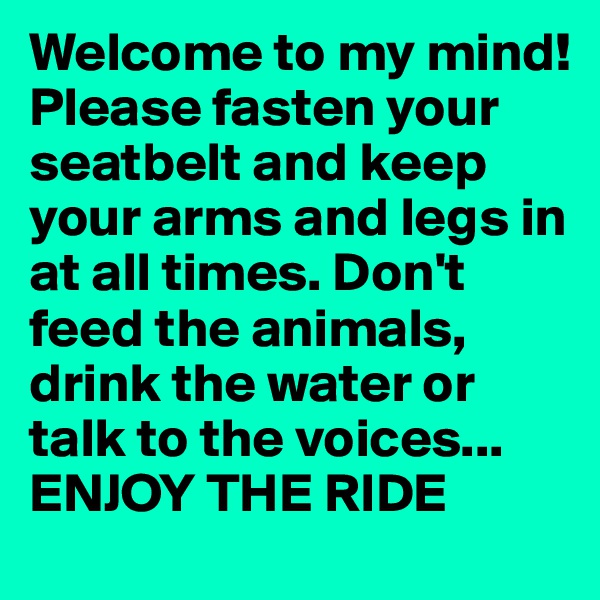 Welcome to my mind!Please fasten your seatbelt and keep your arms and legs in at all times. Don't feed the animals, drink the water or talk to the voices... ENJOY THE RIDE