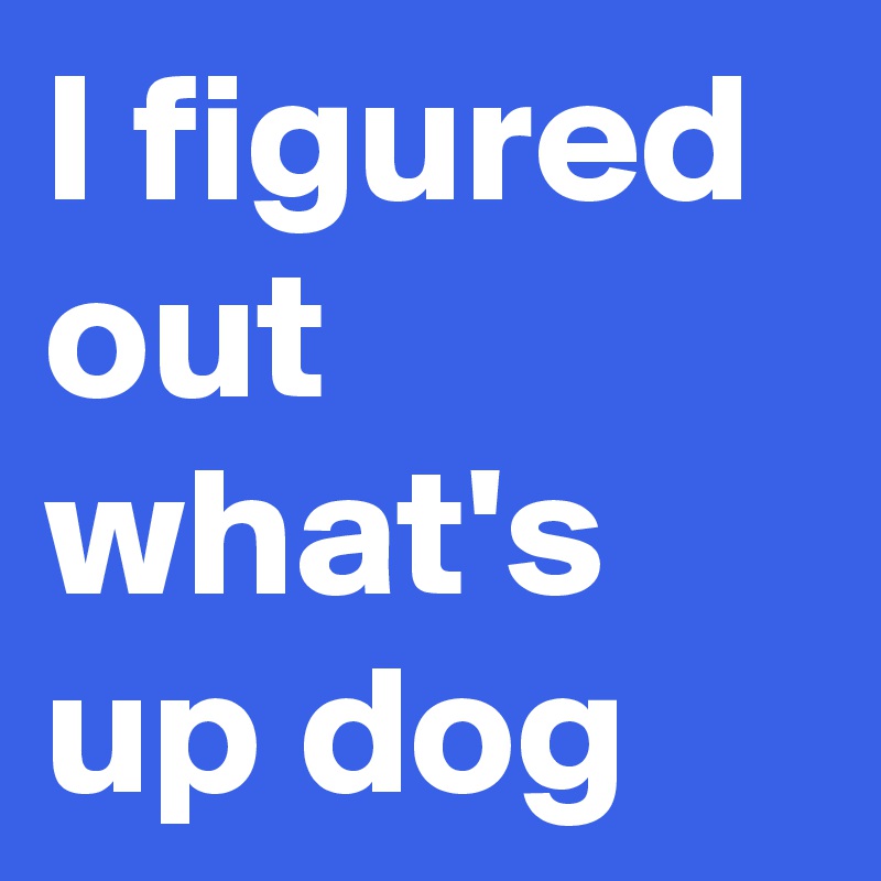 I figured out what's up dog