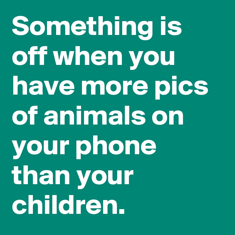Something is off when you have more pics of animals on your phone than your children. 