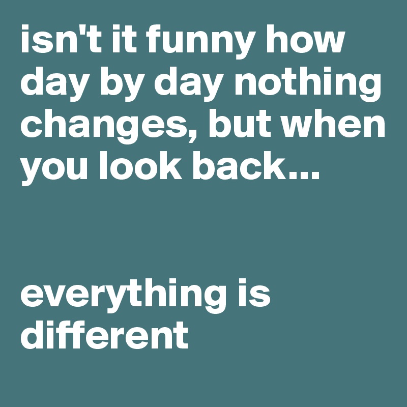 isn't it funny how day by day nothing changes, but when you look back...


everything is different