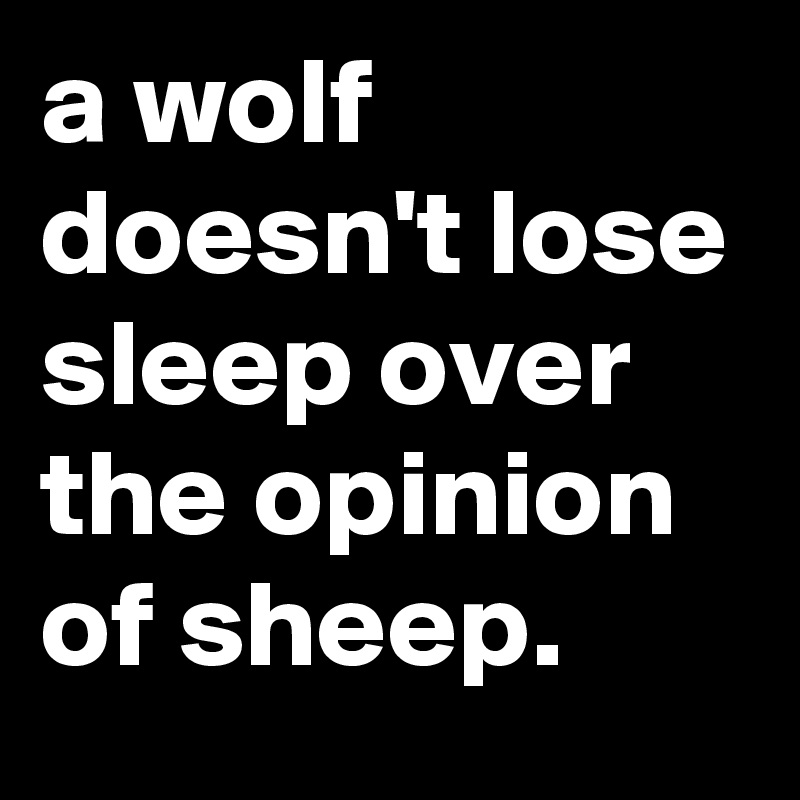 a wolf doesn't lose sleep over the opinion of sheep. 