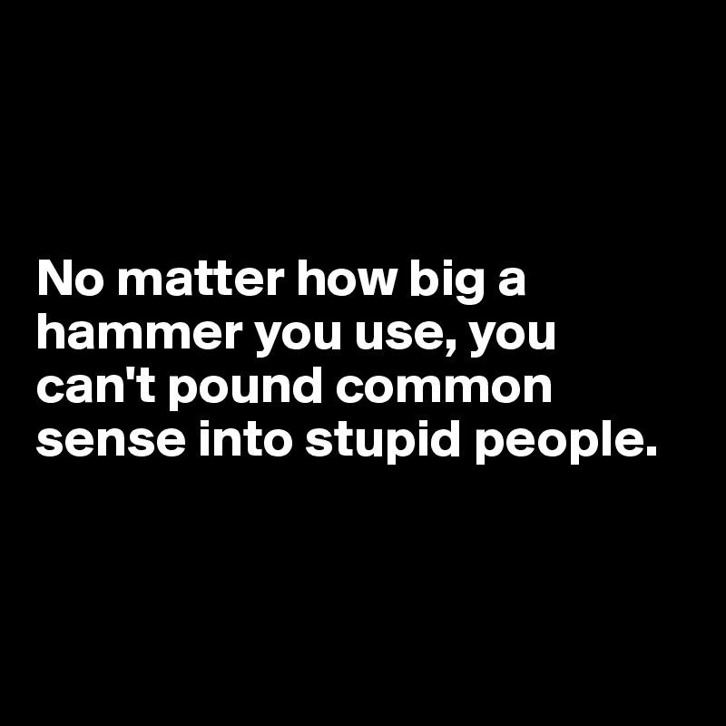 



No matter how big a hammer you use, you 
can't pound common 
sense into stupid people.



